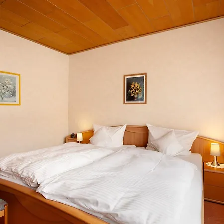 Haus Zur Laterne Appartement Willingen (Upland)