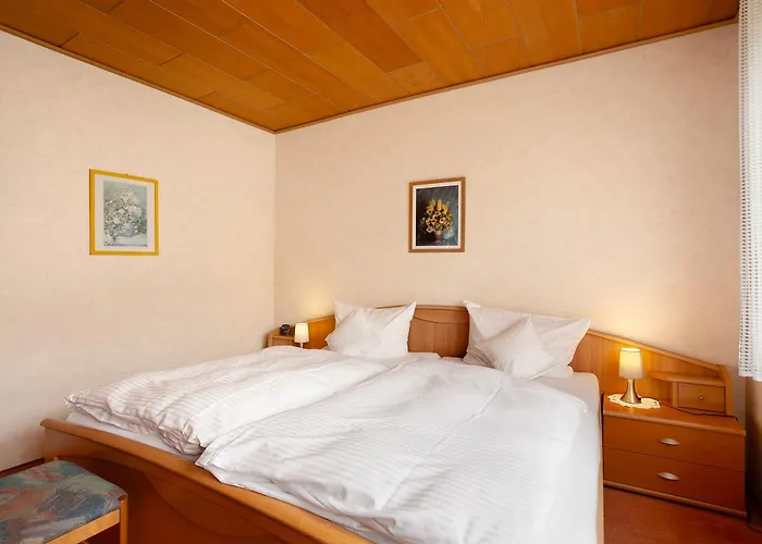 Haus Zur Laterne 公寓 *